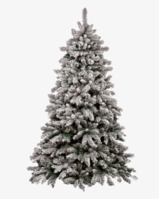 Christmas Tree Png - Snow Pine Tree Png, Transparent Png, Transparent PNG