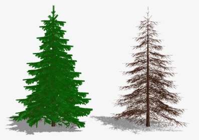 Xmas Tree Type 02 By Arisumatio - Christmas Tree, HD Png Download, Transparent PNG