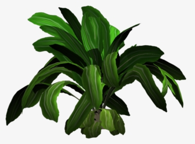 Added By Yorik On - Tropical Transparent Flowers Plants Png, Png Download, Transparent PNG