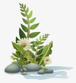 Plants Pebbles And Flowers Png Clip Arts - Plants Clipart, Transparent Png, Transparent PNG