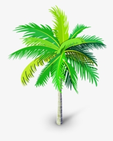 Transparent Palm Trees Png - Transparent Palm Tree Vector, Png Download, Transparent PNG