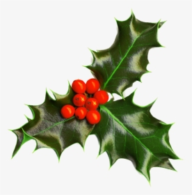 Holly Image Christmas Seasonal Portable Network Graphics - Transparent Background Holly Border, HD Png Download, Transparent PNG