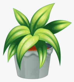 Flower Pot 59 - Leafy Plants, HD Png Download, Transparent PNG
