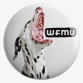 Murro The Dalmation Pin - Dog Catches Something, HD Png Download, Transparent PNG