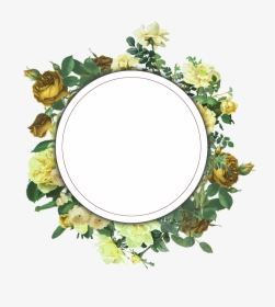 Floral Frame Png - Floral Frames For Photoshop, Transparent Png, Transparent PNG