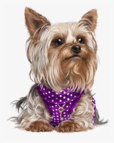 Yorky, Puppy Images, Cute Puppies, Cute Dogs, Dog Cat, - Dog Yorkie Png Transparent, Png Download, Transparent PNG