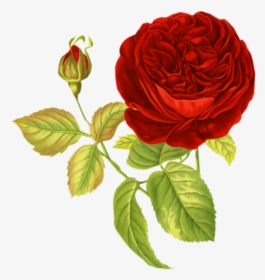 Transparent Rose Png - Vintage Flowers For Collage, Png Download, Transparent PNG
