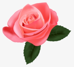 Pink Rose Png Clipart - Transparent Pink Rose Png, Png Download, Transparent PNG