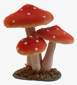 Mushroom, Fly Agaric, Forest, Nature, Autumn, Toadstool - Shiitake, HD Png Download, Transparent PNG