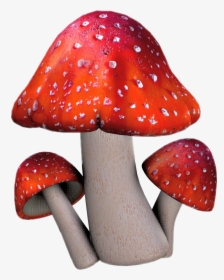 Edible Mushroom - Clipart Toadstool, HD Png Download, Transparent PNG