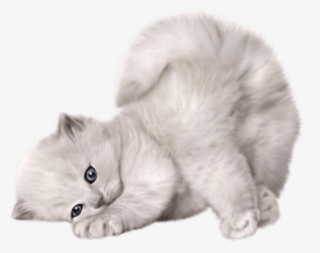 Cute Cat Png, Transparent Png, Transparent PNG