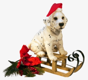 Dalmatian Clipart Christmas - Cane Natale Png, Transparent Png, Transparent PNG