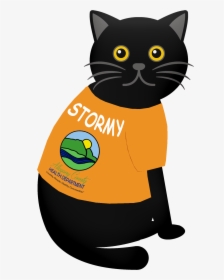 Stormy The Preparedness Kitty - T-shirt Premium Homme, HD Png Download, Transparent PNG