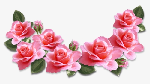 Transparent Pink Rose - Pink Roses Transparent Png, Png Download, Transparent PNG