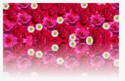 Red Rose Png -roses Love Romantic Red Rose Png Image - Love Romantic Rose Flower, Transparent Png, Transparent PNG