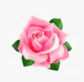 Rose Vector Png Download - Pink Rose Vector Png, Transparent Png, Transparent PNG