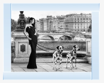 Lady Black Dress Dalmatian Dog Prints, HD Png Download, Transparent PNG