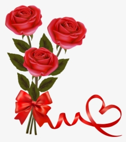 Red Rose Png Hd Shan Studio Rose Border Clip Art May - Rose Flower Png Hd, Transparent Png, Transparent PNG