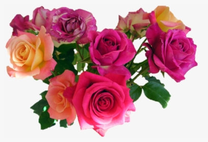 Flowers Png, Transparent Png, Transparent PNG