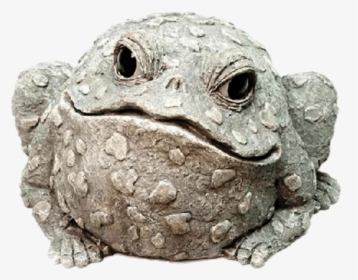 Decorative Garden Toad Clip Arts - Frog Statues For Garden, HD Png Download, Transparent PNG