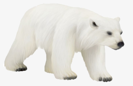 Polar Bear Png Photos - Clip Art, Transparent Png, Transparent PNG
