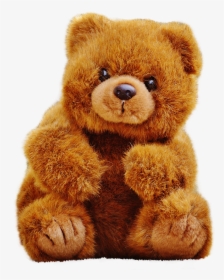 Teddy Bear Png Transparent Image - Teddy Bear Pic Png, Png Download, Transparent PNG