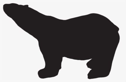 Polar Bear Iceberg - American Black Bear, HD Png Download, Transparent PNG