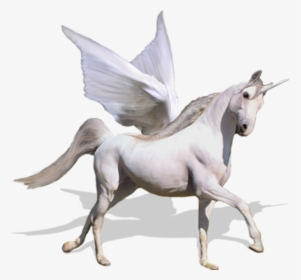 Flying Unicorn Png, Transparent Png, Transparent PNG