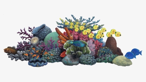 Coral Reef Clip Art - Coral Reef Clipart, HD Png Download, Transparent PNG