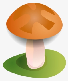 Mushroom, HD Png Download, Transparent PNG