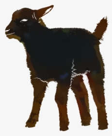 Silhouette Vector Graphics Image Sheep Photograph - Lamb Silhouette Png, Transparent Png, Transparent PNG