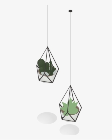Architecture Interior Plant Drawing, HD Png Download, Transparent PNG