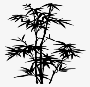 Silhouette, Plants, Bamboo, Leaf, Tree, Danny, Allen - Bamboo Silhouette Png, Transparent Png, Transparent PNG