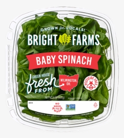 Brightfarms Baby Spinach - Spinach, HD Png Download, Transparent PNG