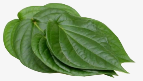 Paan Leaves, HD Png Download, Transparent PNG