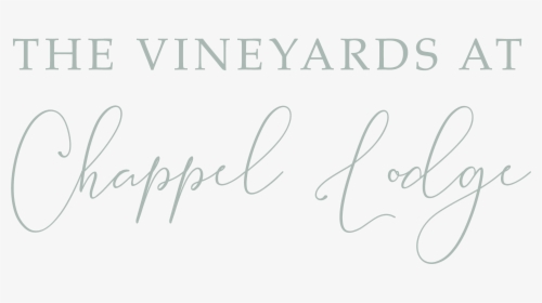 The Vineyards At Chappel Lodge Austin Wedding Venue - Brookline College-tempe, HD Png Download, Transparent PNG