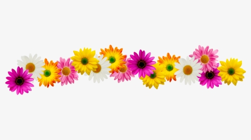 Spring Flower Border Clipart - Spring Flowers Clip Art Border, HD Png Download, Transparent PNG