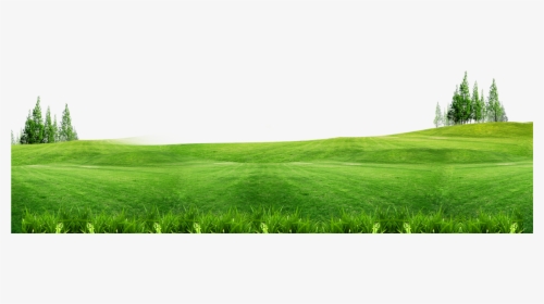 Grass With Flower Background - Grass Background Png, Transparent Png, Transparent PNG