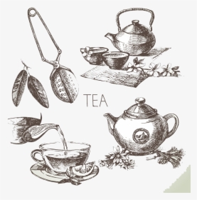 Teacup Drawing Sketch - Tea Sketch Vector, HD Png Download, Transparent PNG