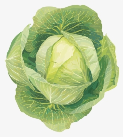 Vegetables Clip Art, HD Png Download, Transparent PNG