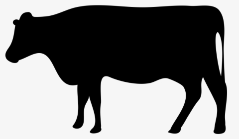 Beef Cattle Dairy Farming Livestock Dairy Cattle - Transparent Beef Cow Icon, HD Png Download, Transparent PNG