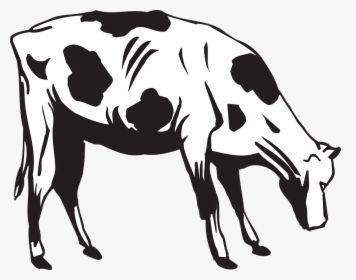 Cow Clipart Eating, HD Png Download, Transparent PNG
