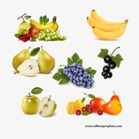 Seedless Fruit, HD Png Download, Transparent PNG