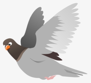 Flying Pigeon Clipart, HD Png Download, Transparent PNG