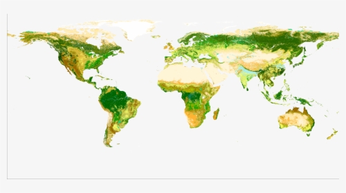 File - Globcov - World Forest Cover 2018, HD Png Download, Transparent PNG