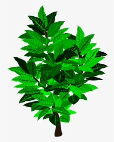 Leaf Tree Shrub Branch Plant Stem - Flowerpot, HD Png Download, Transparent PNG