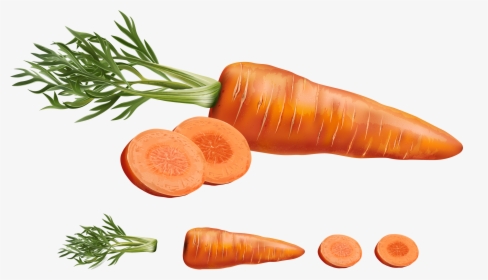Carrot Juice Vegetable Carrots - Realistic Carrot Vector, HD Png Download, Transparent PNG