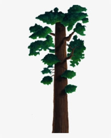 Tree - Wood, HD Png Download, Transparent PNG