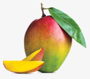 Mango Smoothies - Mango Images Hd Png, Transparent Png, Transparent PNG
