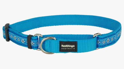 Belt, HD Png Download, Transparent PNG